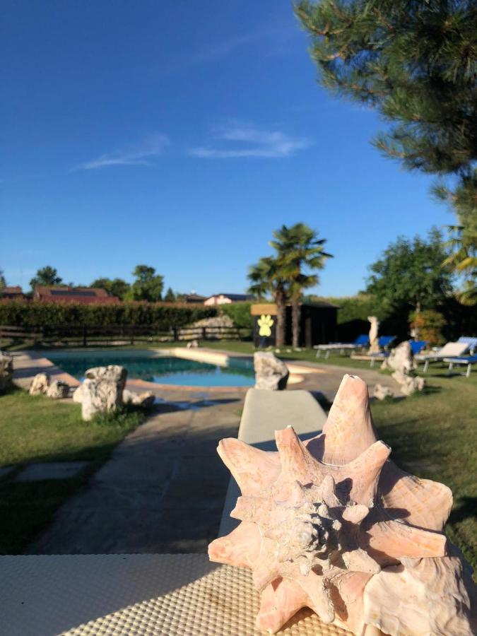 B&B La Zampa Pieve Otto Ville 外观 照片
